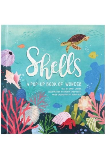 Shells A Pop-Up Book of Wonder