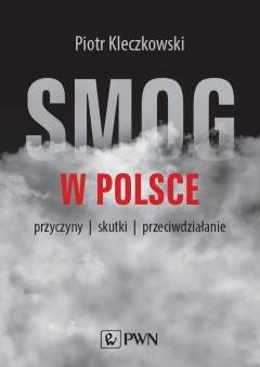 Smog w Polsce przyczyny skutki przeciwdziałanie