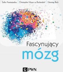 Fascynujący mózg