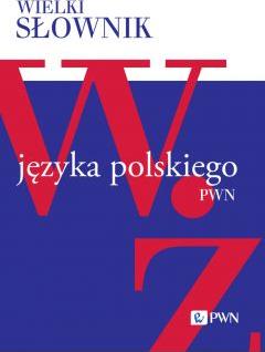 Wielki słownik języka polskiego. Tom 5. W-Ż