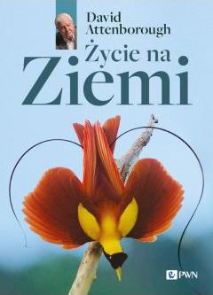 Życie na Ziemi