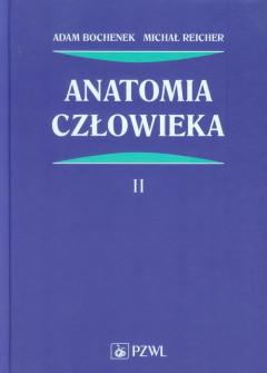 Anatomia człowieka. Tom 2