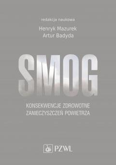 Smog Konsekwencje zdrowotne zanieczyszczeń powietrza