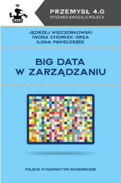 Big data w zarządzaniu