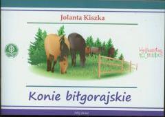 Konie biłgorajskie