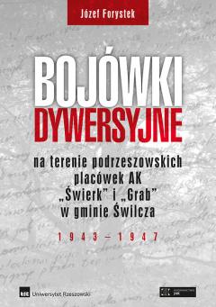 Bojówki dywersyjne