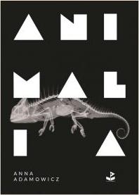 Animalia