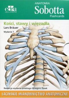 Anatomia Sobotta Flashcards. Kości, stawy i więzadła. Łacińskie mianownictwo anatomiczne