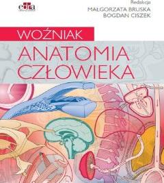 Anatomia człowieka. Woźniak