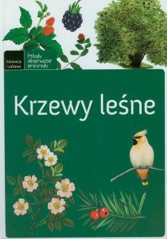 Krzewy leśne. Młody obserwator przyrody