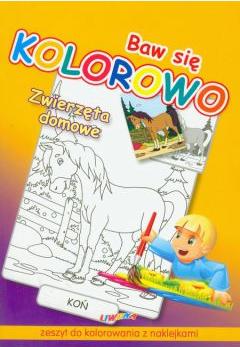 Zwierzęta domowe. Baw się kolorowo