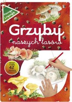 Grzyby naszych lasów