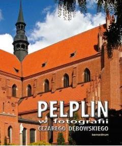 Pelplin w fotografii Cezarego Dębowskiego