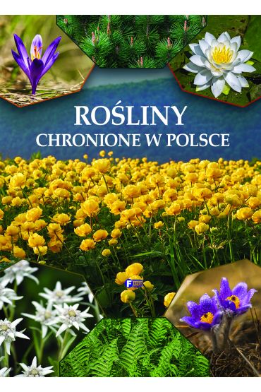 Rośliny chronione w Polsce