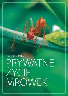 Prywatne życie mrówek