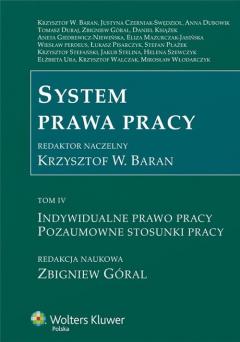 Indywidualne prawo pracy. Pozaumowne stosunki pracy. System prawa pracy. Tom 4