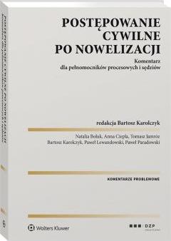 Postępowanie cywilne po nowelizacji