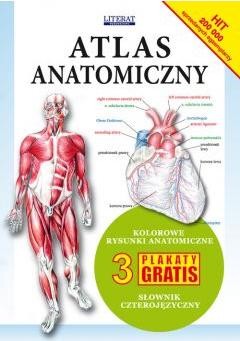 Atlas anatomiczny