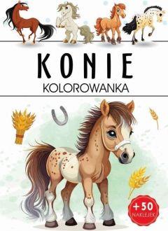 Kolorowanka. Konie