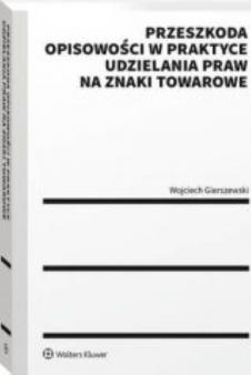 Przeszkoda opisowości w praktyce udzielenia praw