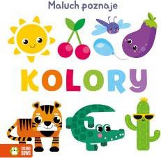 Maluch poznaje. Kolory