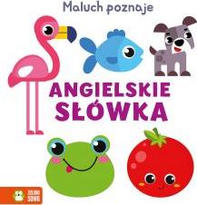 Maluch poznaje. Angielskie słówka