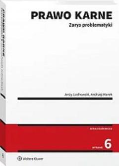 Prawo karne. Zarys problematyki w.6