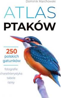 Atlas ptaków. 250 polskich gatunków