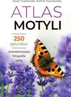 Atlas motyli