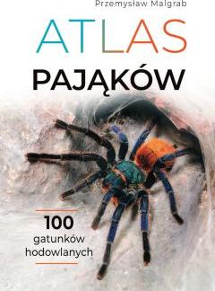 Atlas pająków