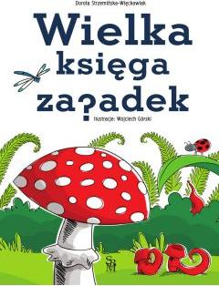 Wielka księga zagadek