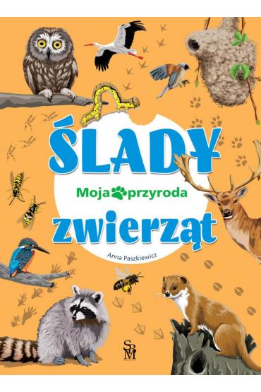 Ślady zwierząt. Moja przyroda