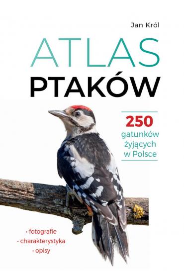 Atlas ptaków. 250 gatunków żyjących w Polsce