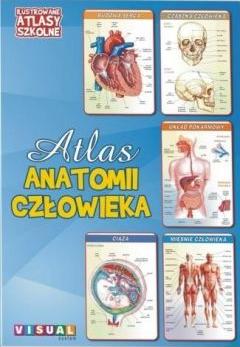 Ilustrowany atlas szkolny. Atlas anatomii człowieka