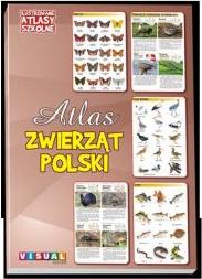 Ilustrowany atlas szkolny. Atlas zwierząt Polski